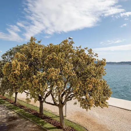 Apartment Mona Lisa's View In Old Town Zadar